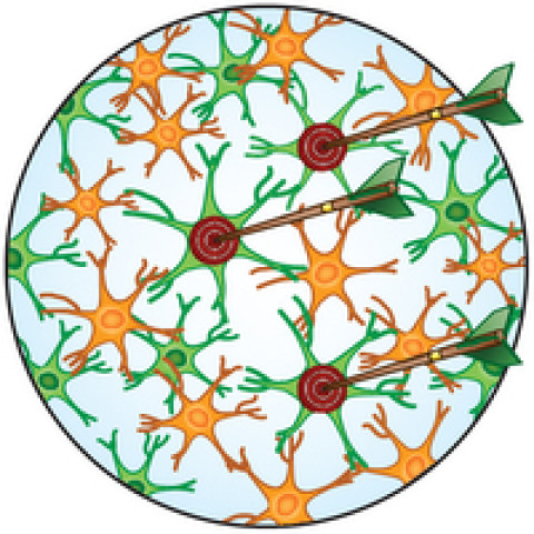 Precision Optogenetics –