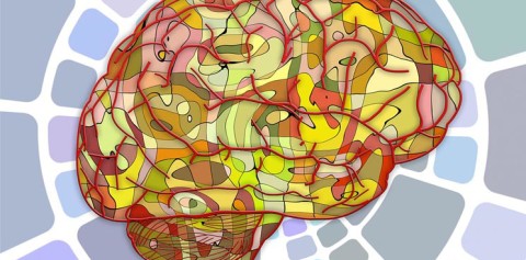 Growing Mini-Brains in Labs to Better Understand Neurological Disease